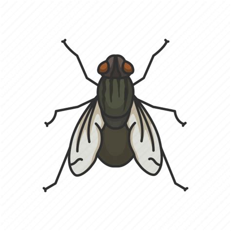 Animal, bloodsucker, fly, housefly, insect, invertebrate, pest icon - Download on Iconfinder