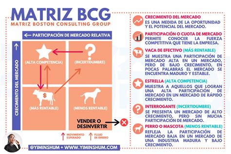 Matriz Bcg Para Que Sirve - mini