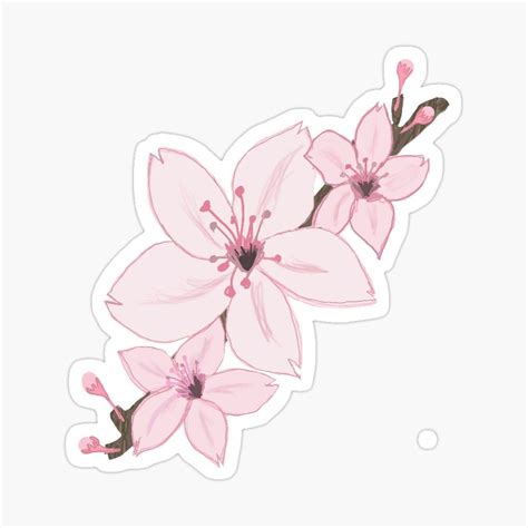 "Cute pink cherry blossoms" Sticker for Sale by honestBlossom ...