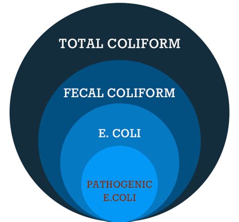 E. coli and Coliform - BioScience Diagnostics Pte Ltd