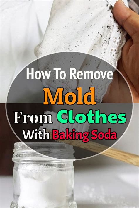 How To Remove Mold From Clothes With Baking Soda - Hello Lidy in 2020 ...