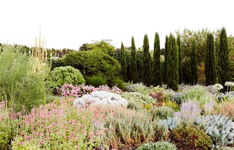 Lambley Nursery in Ascot | Native garden, Garden types, Evergreen vines