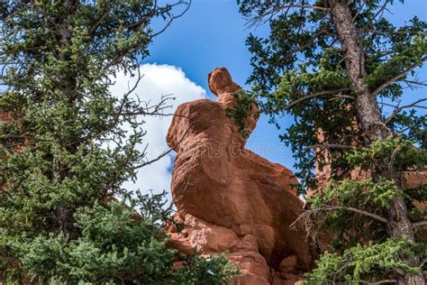 Red Rock Campground Pike National Forest Colorado Springs Woodl Stock ...