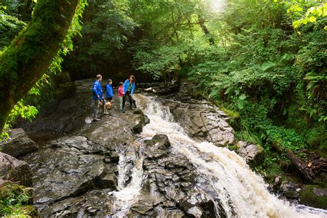 Space to Explore in the Slieve Bloom Mountains - Visit Offaly