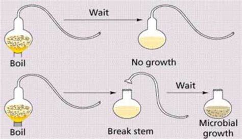 Spontaneous Generation Timeline | Timetoast timelines