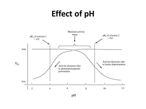 Enzyme kinetics