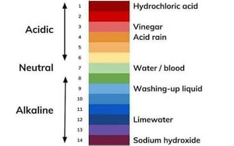 Sodium Hydroxide Ph Chart