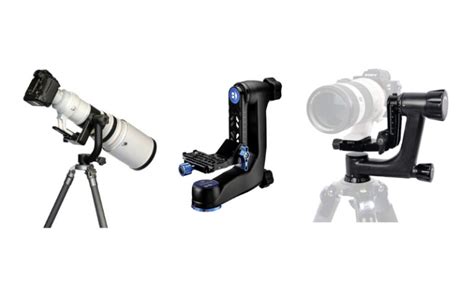 Best Tripods For Wildlife Photography - PhotoJeepers