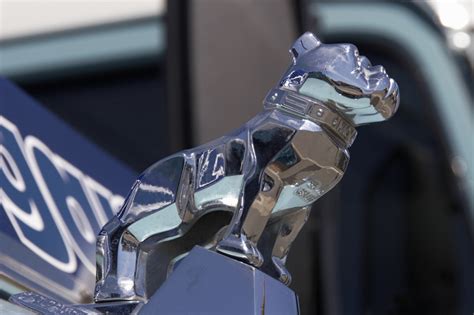 Mack Bulldog Large Chrome OEM Hood Ornament - Mack Truck Hood Ornament - Mack Truck Hood Ornaments