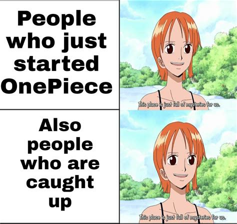 Day 154 of making a meme out of every OnePiece episode! : r/MemePiece