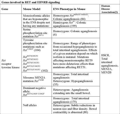 Figure 2.1 from Guanine Nucleotide Synthesis and The Enteric Nervous ...