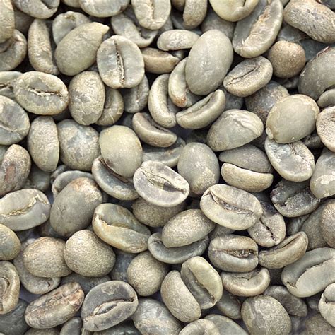 Arabica Coffee Beans | Inaexport