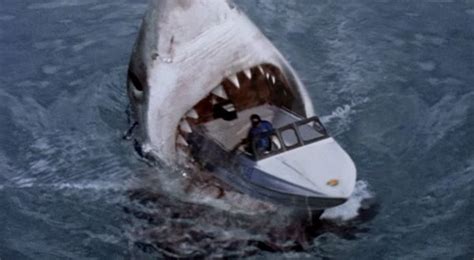 Megalodon Shark | The Food Chain | Pinterest | Megalodon, Sharks and Shark Attacks