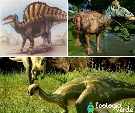 Descubre la DIETA VERDE de los DINOSAURIOS HERBÍVOROS