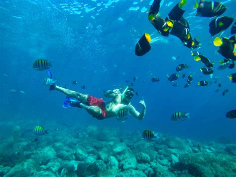 Snorkeling in Puerto Vallarta | Vallarta Adventures