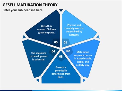 Gesell Maturation Theory PowerPoint and Google Slides Template - PPT Slides