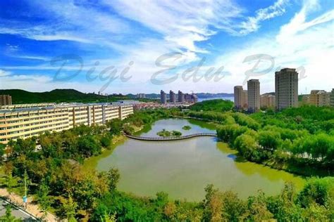 Dalian University of Foreign Languages