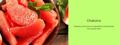 Chakotra – Health Benefits, Uses and Important Facts - PotsandPans India