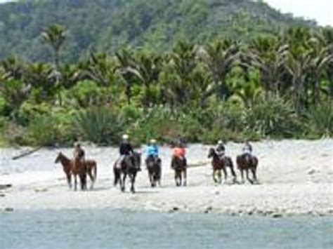 Punakaiki Horse Treks (New Zealand): Top Tips Before You Go - TripAdvisor