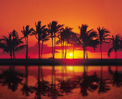 Waikoloa Beach Marriott – Sunset Luau – Honu Hawaii Activities