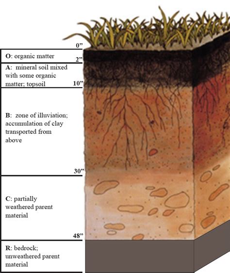 An Introduction to Soil Concepts and the Role of Soils in Watershed Management - Schoonover ...