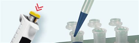 How To Use A Pipette? - Mega Depot