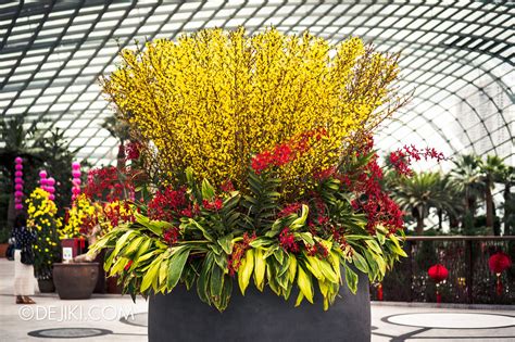 Spring Celebrations at Flower Dome | Dejiki.com