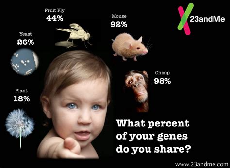 Zoology At MHS: How Much DNA do we Share with Other Living Things?