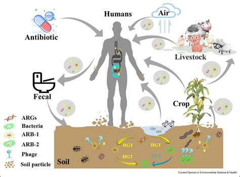 Antibiotic resistance in the soil ecosystem: A One Health perspective | Sustainable Development ...