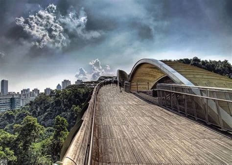 Henderson Waves: Highest Pedestrian Bridge - Singapore - XciteFun.net