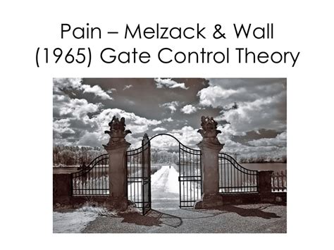 Pain – Melzack & Wall (1965) Gate Control Theory