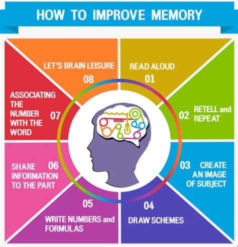 Semantic Memory - The Definitive Guide | Biology Dictionary