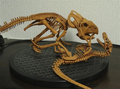 Velociraptor Vs Protoceratops Fossil