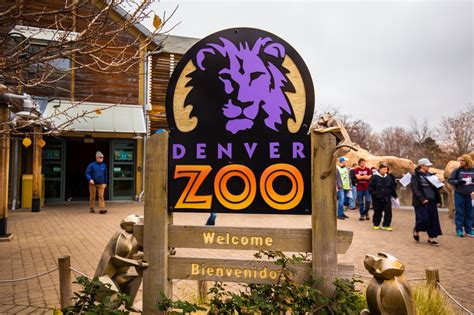 Denver Zoo Scavenger Hunt: City Park Pursuit-a-Palooza | Let's Roam