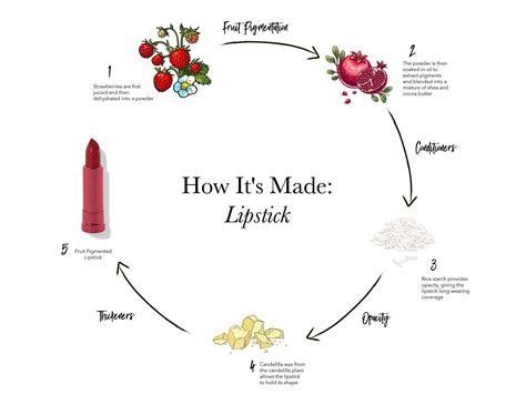 What Our Natural Lipsticks Are Made of | Natural lipstick, Lipstick, How to feel beautiful