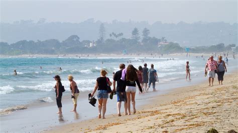 Coronado Beach in San Diego, California | Expedia