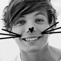 Louis Cat Icons - Louis Tomlinson Icon (31976272) - Fanpop