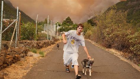 Tenerife wildfires lead to evacuation of villages - BBC News