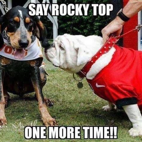 Pin by Chris Deane on Humor | Georgia bulldogs football, Georgia ...