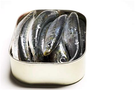 What Are Sardines and How Are They Used?