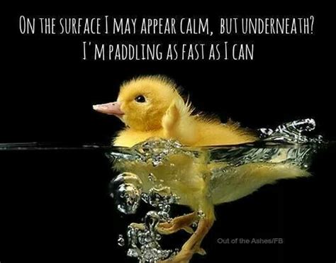 Pin by Marcia Brake on ***Quotes, Quotes, Quotes*** | Cute ducklings, Cute baby animals, Baby ...