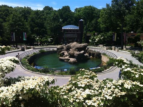 Prospect park zoo entrance.. Greeted by Stella and Phoebe the seals! | Prospect park zoo ...