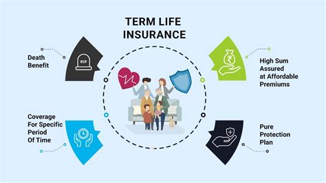 Term Life Insurance: The Only Guide You Need - Wealth Nation