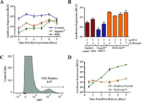 Optimization of WNV replicon RNA delivery to C6/36 cells. (A)... | Download Scientific Diagram