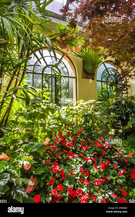 Luscious tropical plants inside historical Victorian Conservatory with arched windows, Fitzroy ...