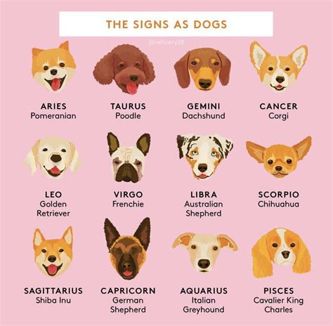 Do Zodiac signs apply to dogs? – ouestny.com