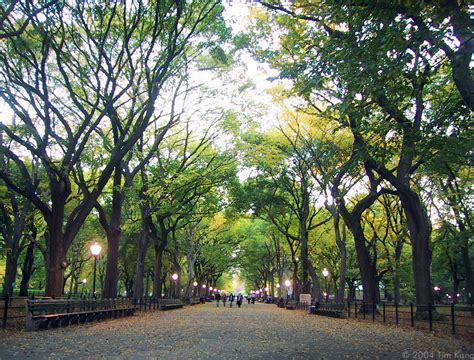 Life Around Us: New York: Central Park- The Most Romantic Place of New York