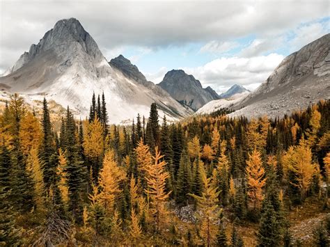 Autumn in the Rockies. Kananaskis, Alberta. [4032x3024] [OC] : r/EarthPorn