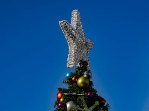 Tree Top Star Christmas Free Stock Photo - Public Domain Pictures