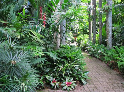 The Friends of the Botanic Gardens Cairns